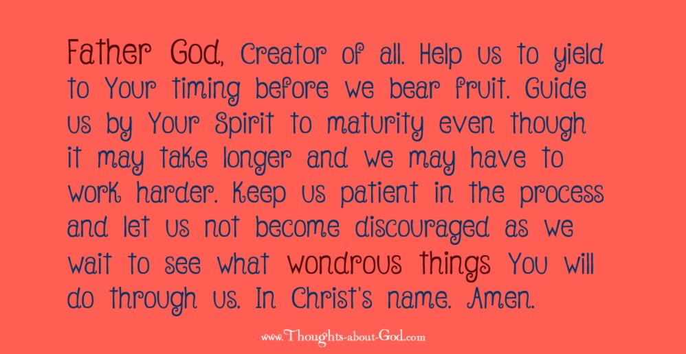 Prayer & Devotional on bearing fruit through Christ
