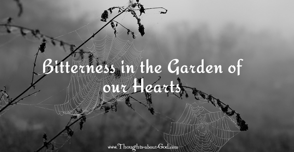 Bitterness in the Garden of our Hearts - Devotional