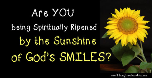 Are you being spiritually ripened by the sunshine of God's smiles?