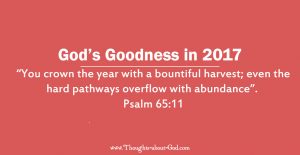 God's Goodness in 2017