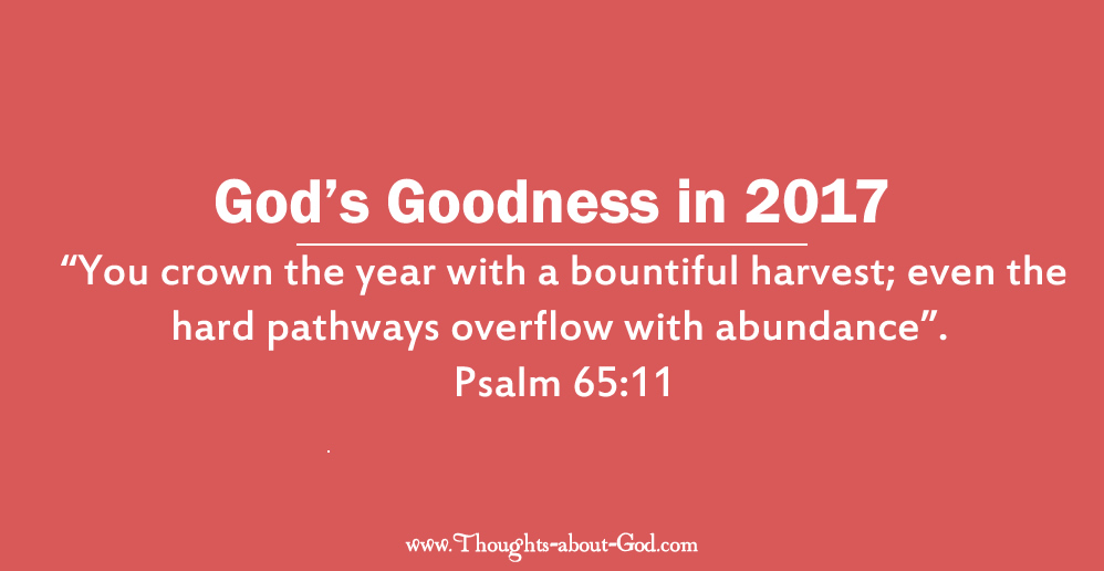 God's Goodness in 2017
