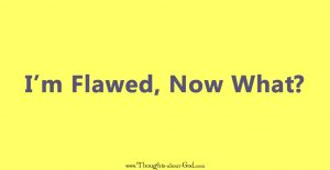 I am Flawed, Now What? Daily devotional
