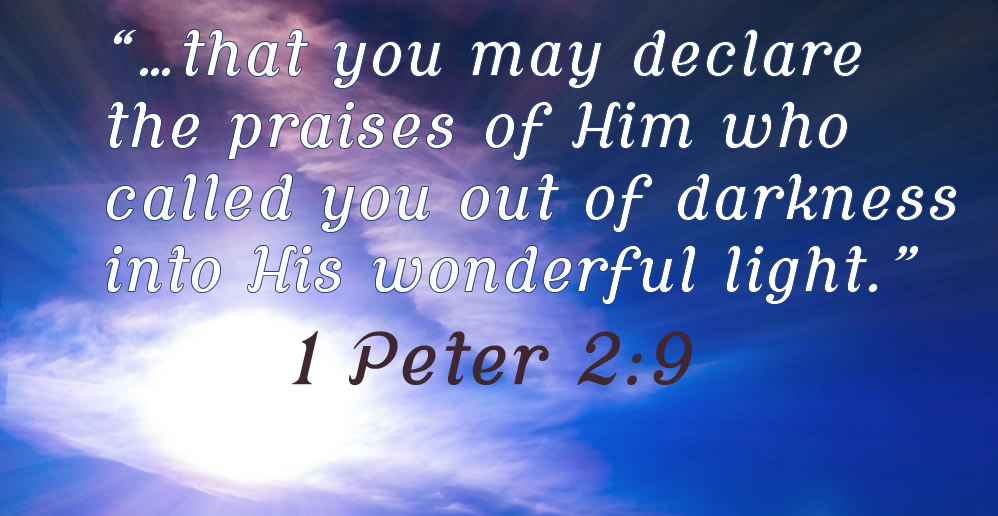 1 Peter 2:19 from darkness into light devotional