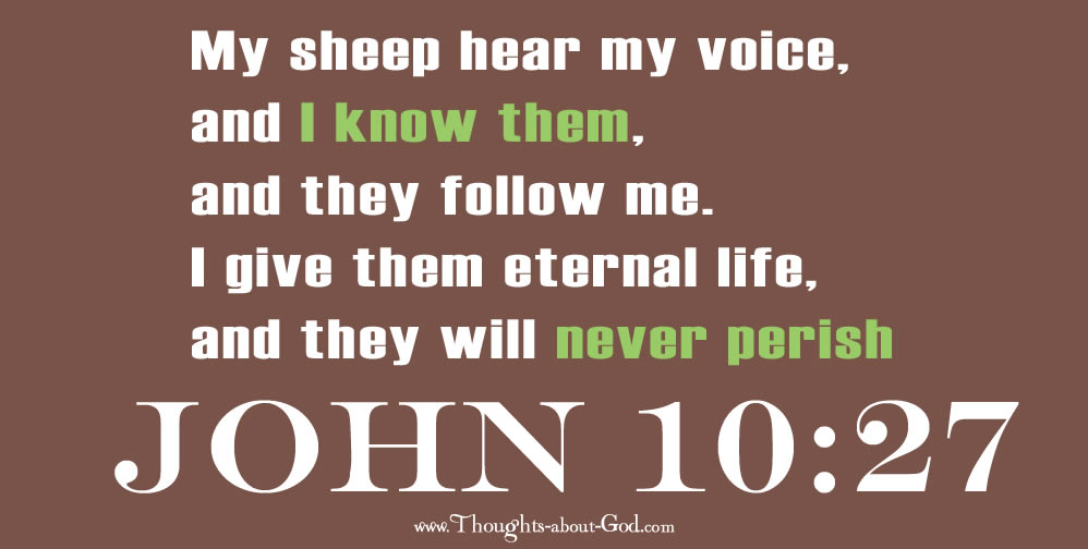 Daily Devotional - John 10:12