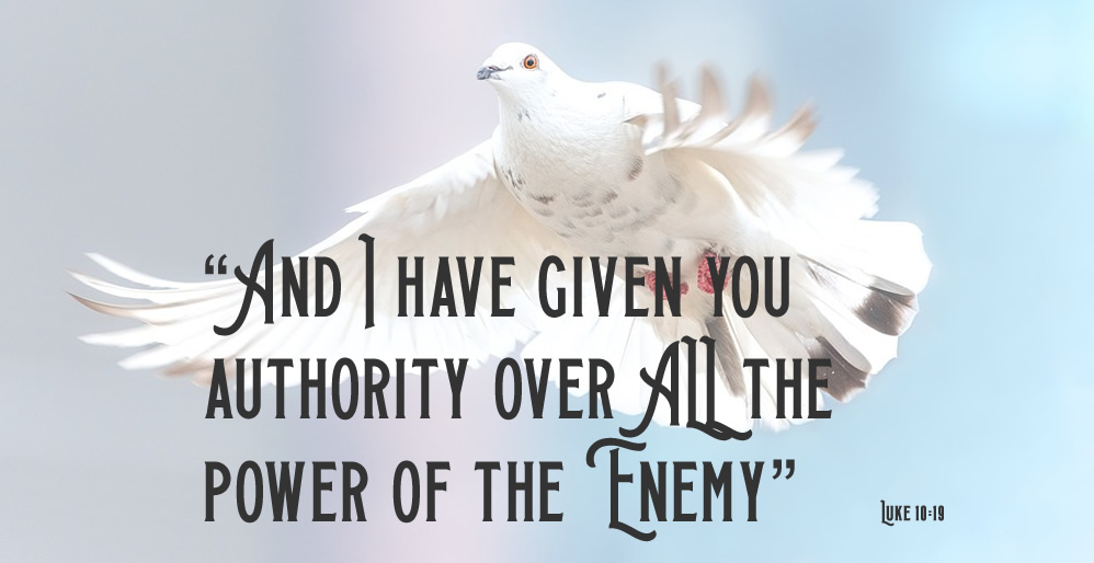 Luke 10:19 with dove in background