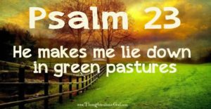 Psalm 23 He makes me to lie down in green pasture