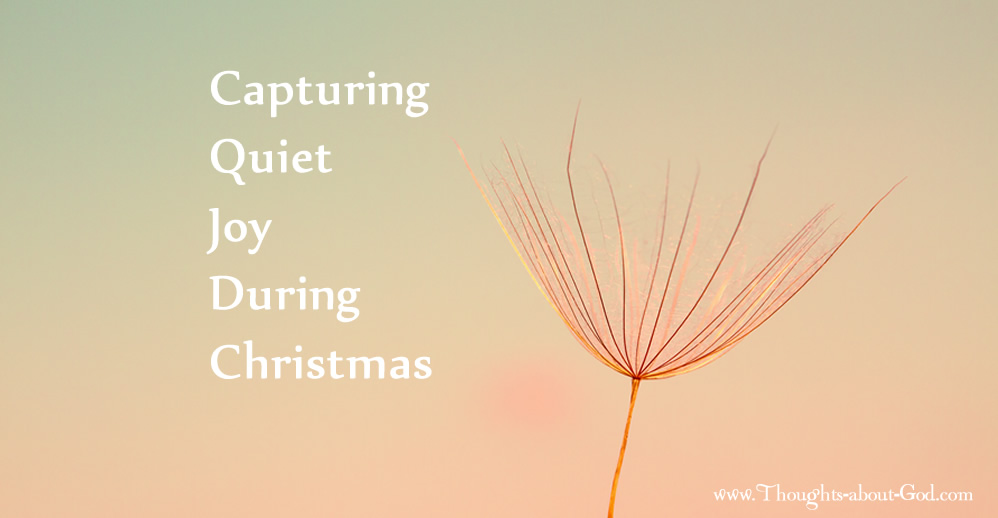 capturing quiet joy at Christmas