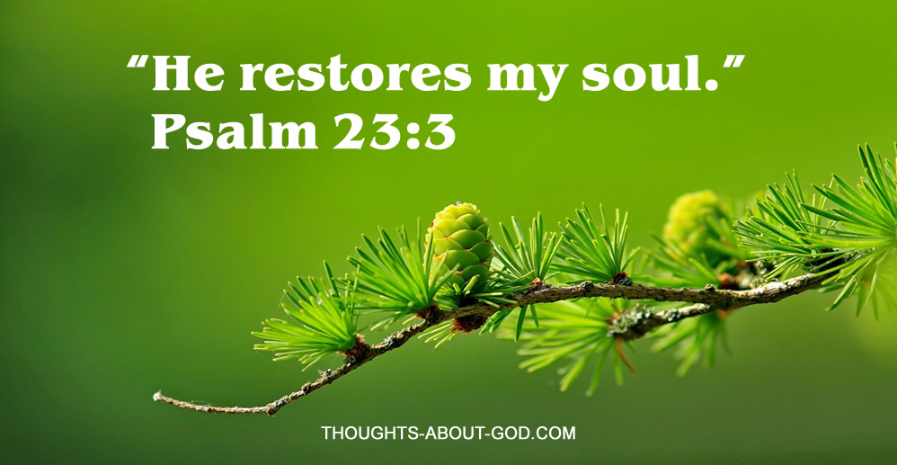 He Restores my soul. Psalm 23:3