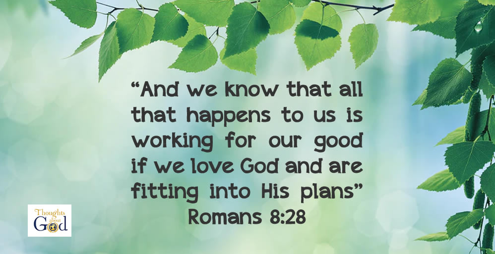 Romans 8:28 with leaves in background