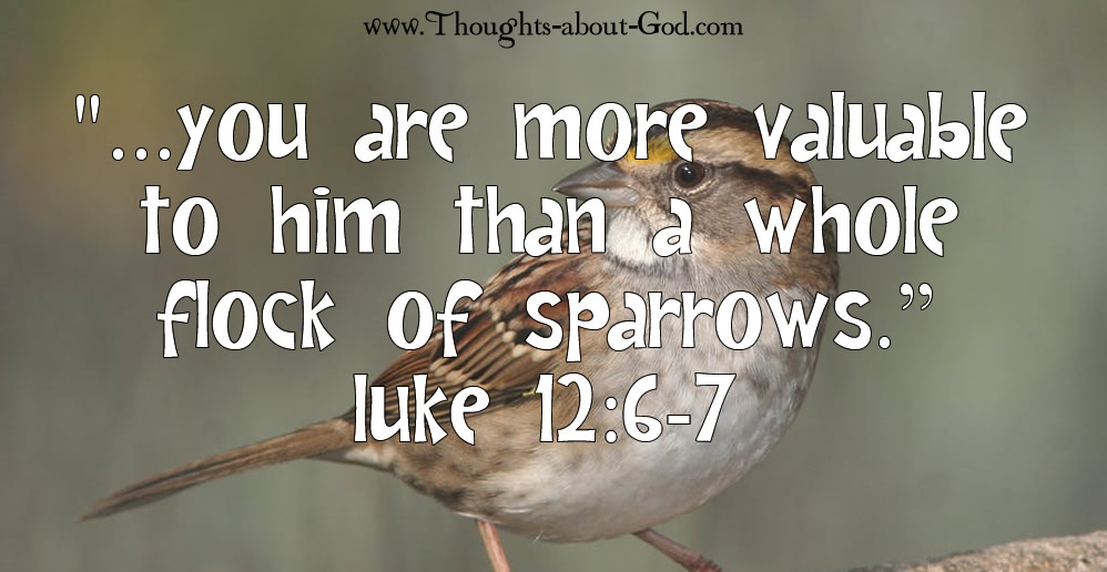 "...you are more valuable to him than a whole flock of sparrows.” Luke 12:6-7