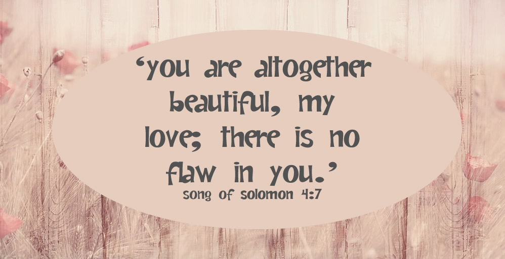 Solomon 4:7 on pink background