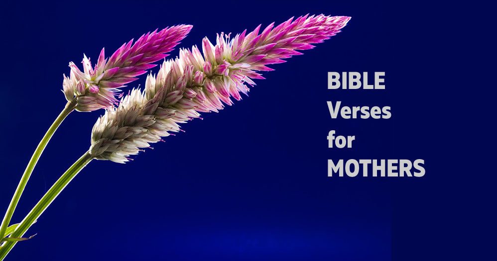 Bible verses fmothers
