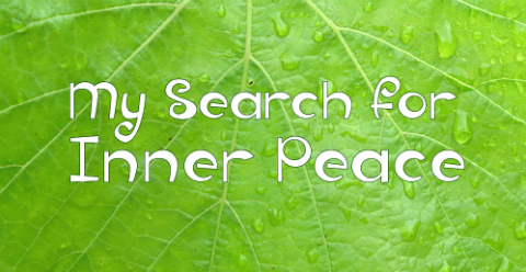 My Search for Inner Peace, Eva Reinhart