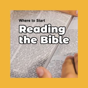 Reading the Bible - Where to Start